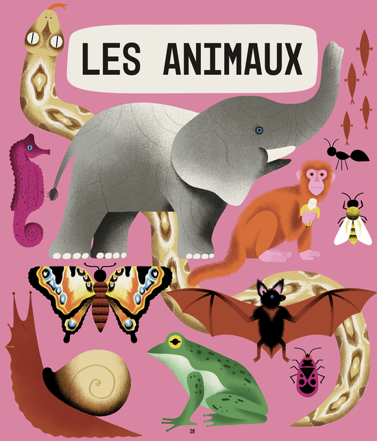 Larousse des 500 Pourquoi comment?