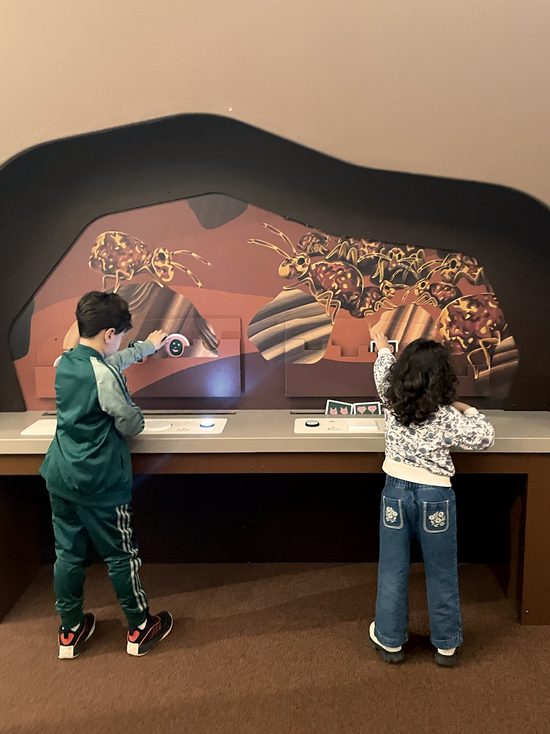 Illustration pour la cité des enfants (5-10 ans)