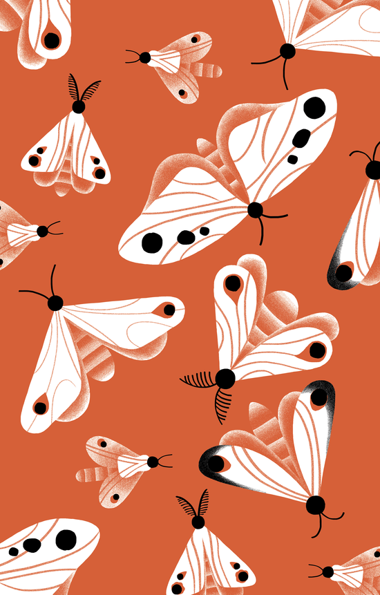 Motifs