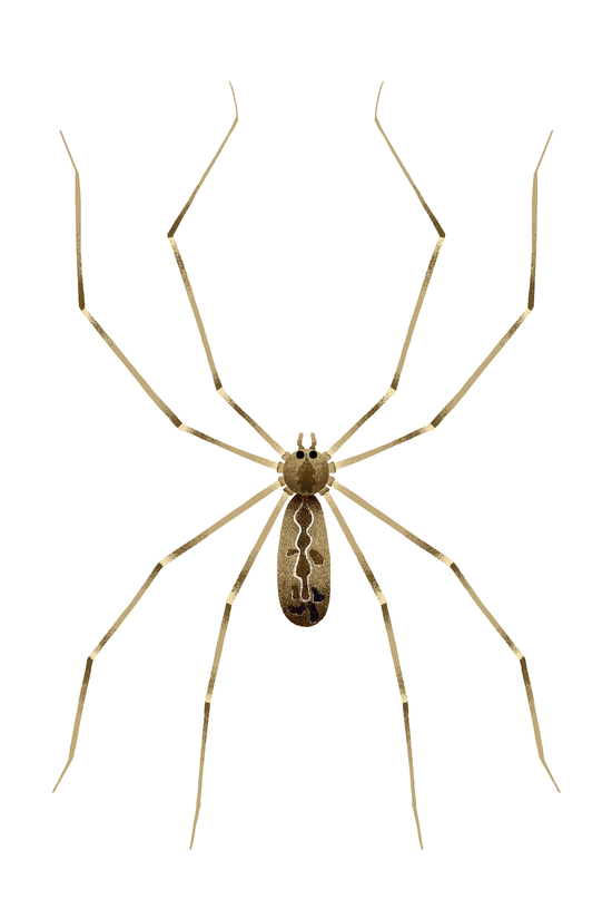 Nos voisins les insectes Ed.La martiniere jeunesse