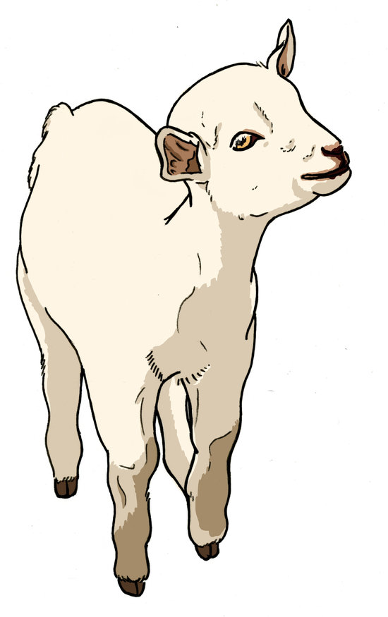 Réalisation de panneaux pédagogiques mettant en valeur la faune Corse