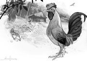torga_03
