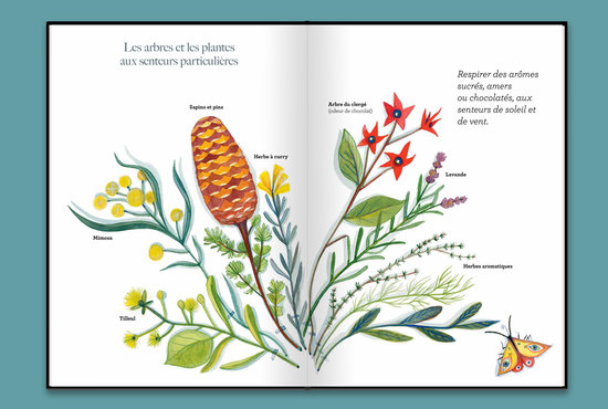 Album L'arboretum- éditions Courtes et Longues