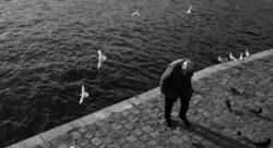  - Anne-Cécile Causse-photographe