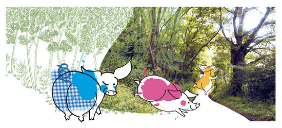 Trois petites culottes - Atelier du poisson soluble - 2004