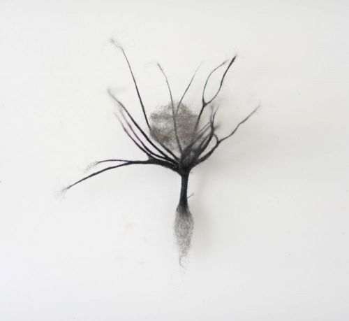 anne laval-plasticien