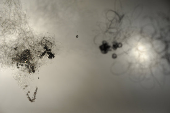 Paysage (installation) 2011