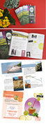 Edition - Edicion