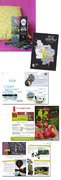 Edition - Edicion