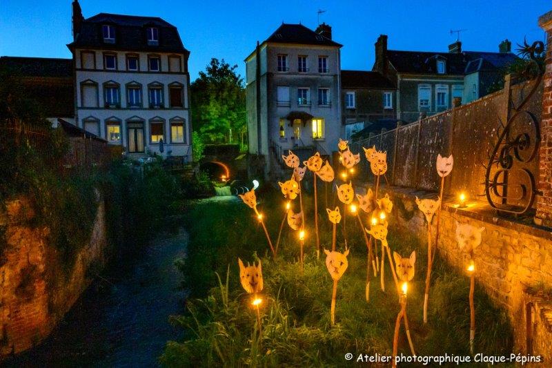 Chats de nuit