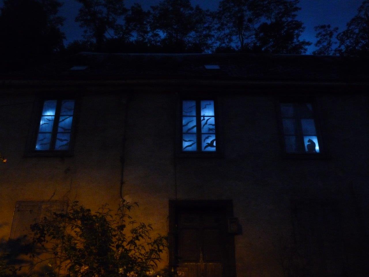 P1050542.jpg