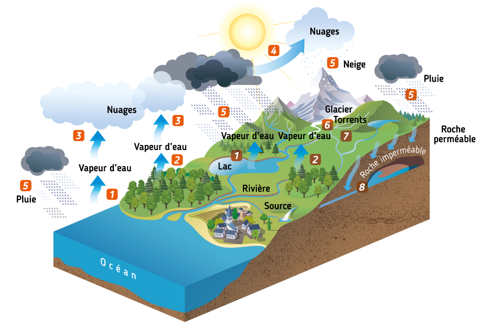 Le cycle naturel de l'eau