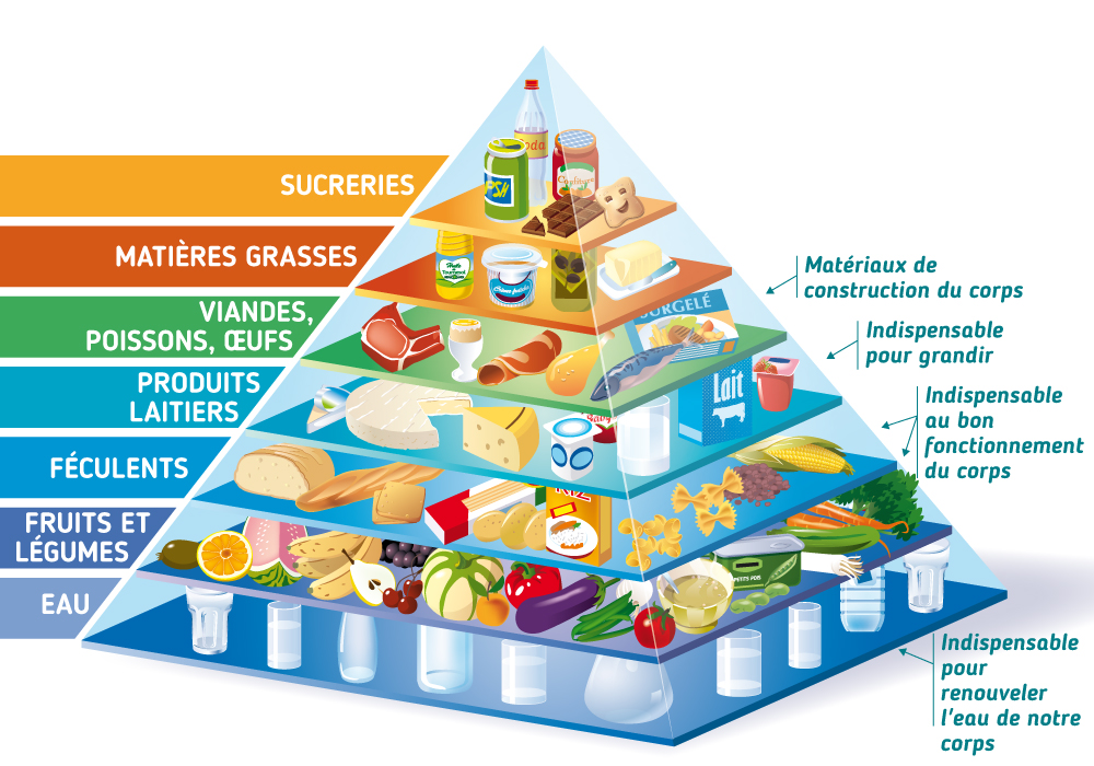 La pyramide des aliments