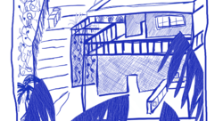 Madinina House - Assia BURKE-illustrateur