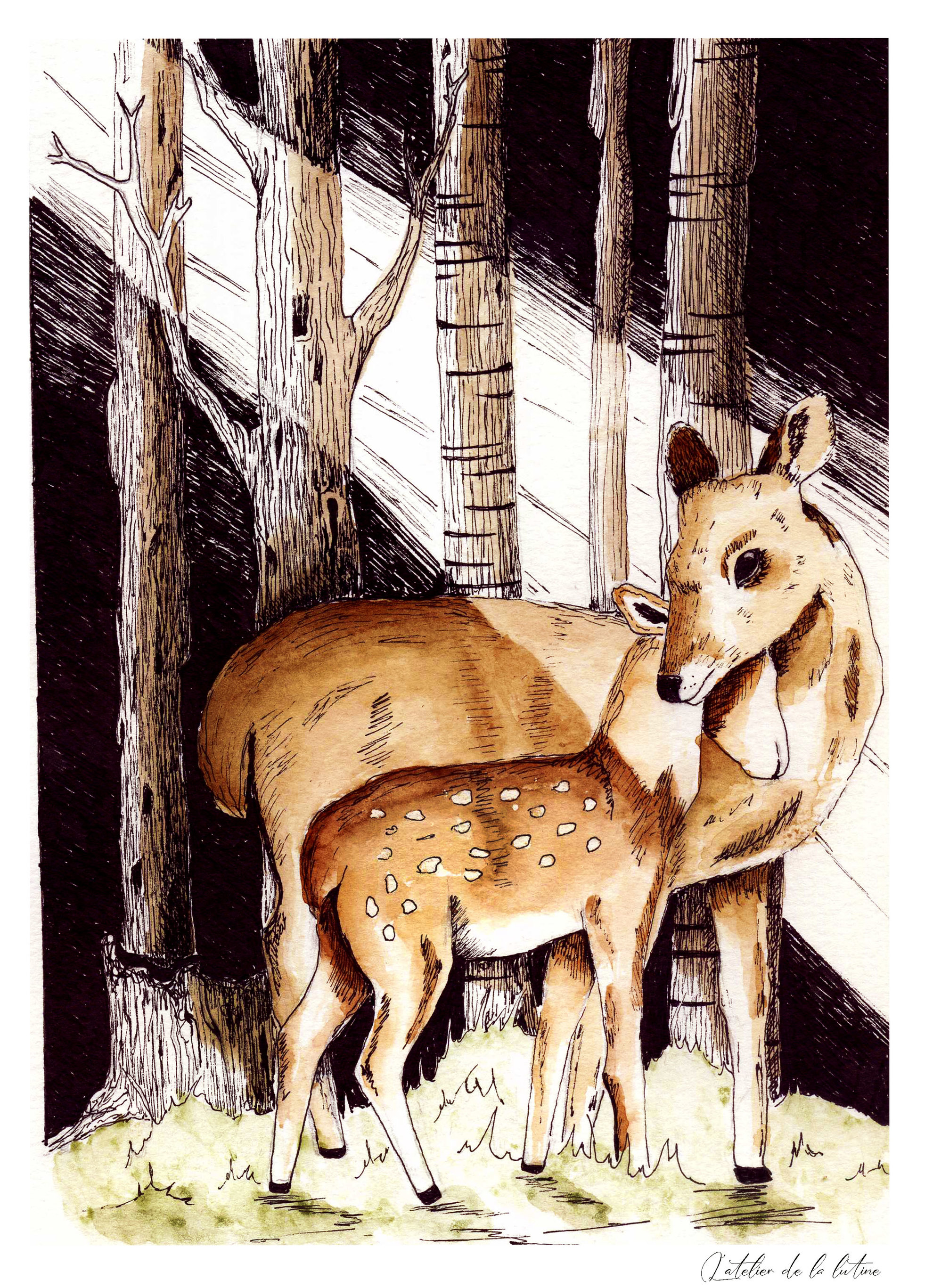  - patricia mendes - illustrateurs/rices-jeunesse