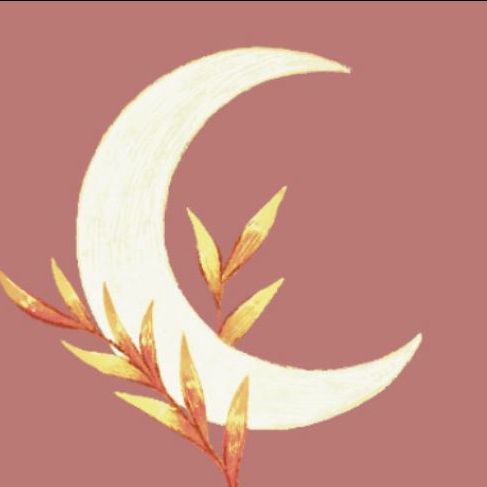 atelier nymphaë - illustrateurs/rices