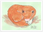 Renard endormi