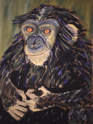 pastel_chimpanzee