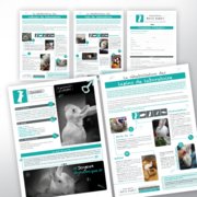 Fiches et formulaires adoptions, Association Cause Animale (Charte graphique déjà existante)