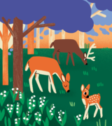 La forêt