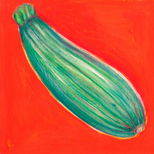 tiphaine birotheau-illustrateur