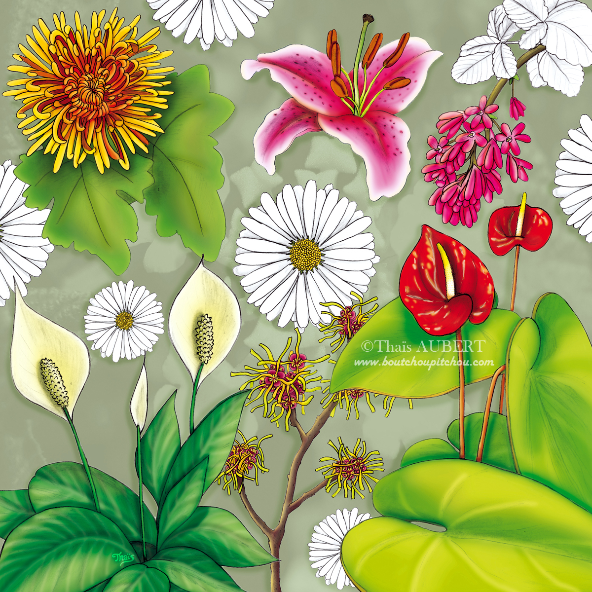 Composition florale