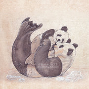 Pandas câlin