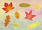 Feuilles d'automne