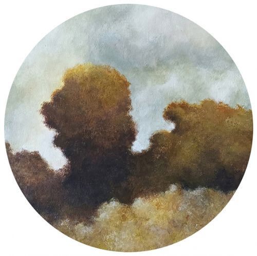 Bruno Robert-plasticien
