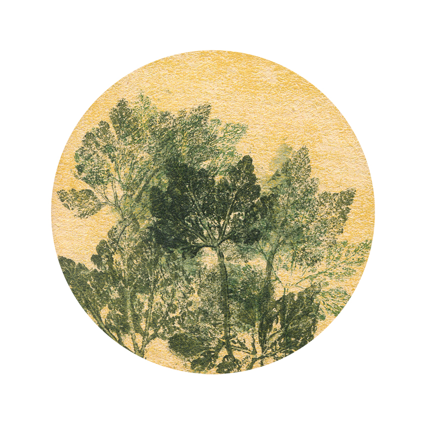 L'herbier VIII (2024) 10x10 cm