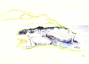 Paysage-a-Sandrine-berger-scenotopic.png
