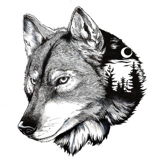 Wolf Hood