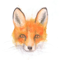 Cédric Abt :  : Ultra-book