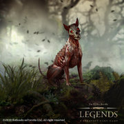 skinned hound