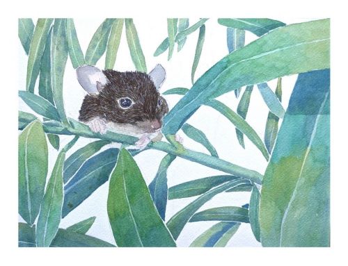 benedetti candie - illustrateurs/rices