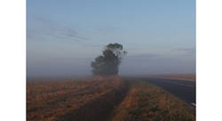  - caroline dhorbait-photographe