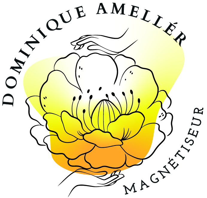 Logo Dominique Amellér