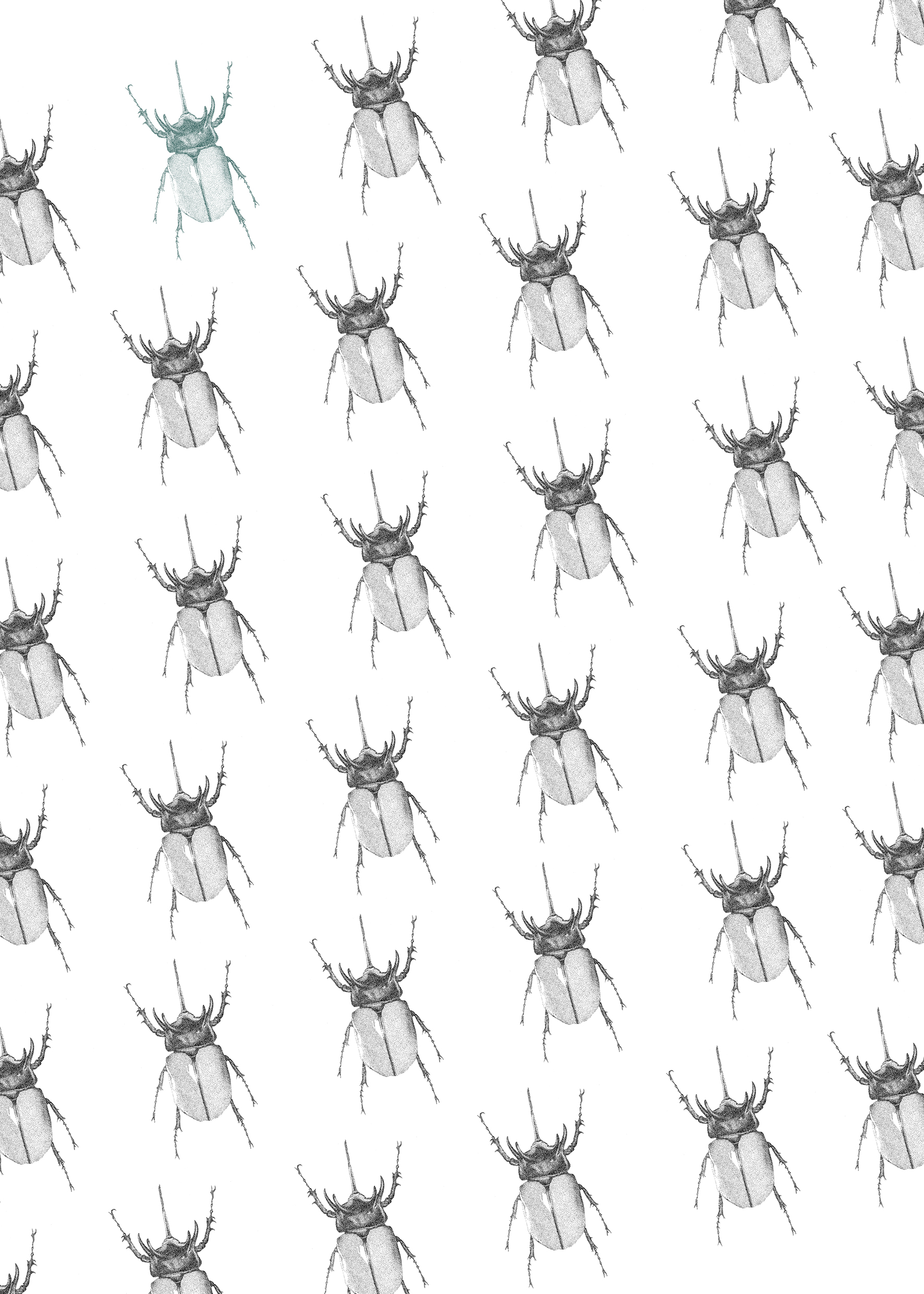 Pattern scarabées