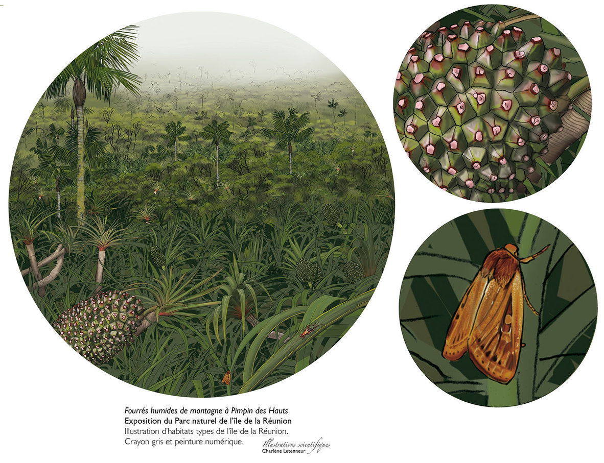 Illustrations et expositions scientifiques, naturaliste ...