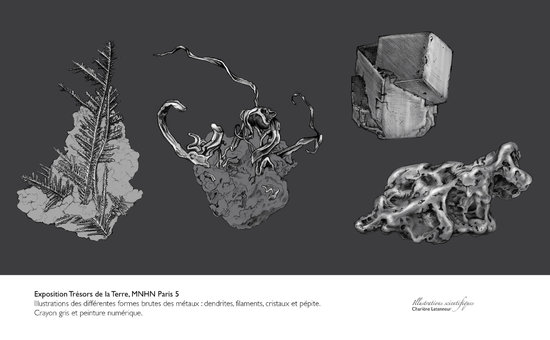 mineralogie-habitus.jpg
