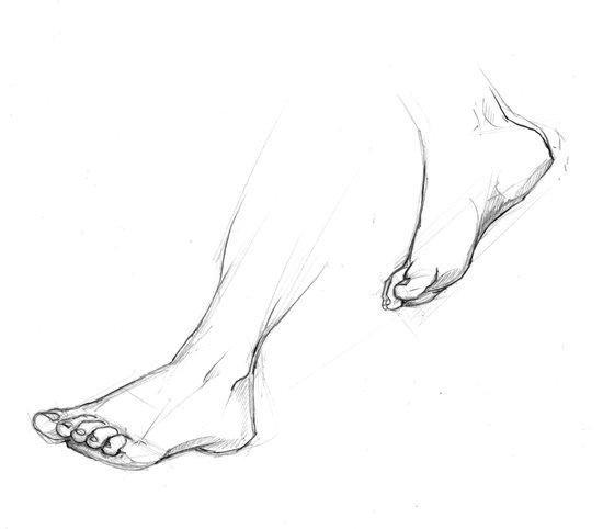 Modèle vivant
