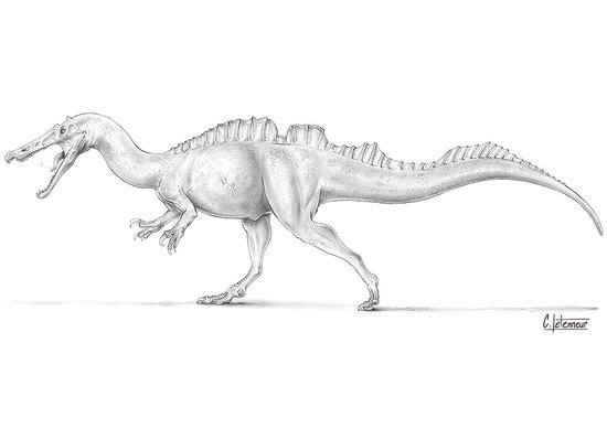 Ichtyovenator