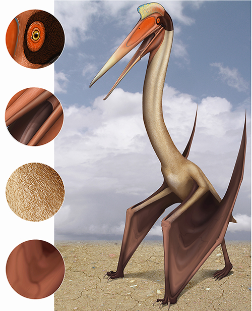 Quetzalcoatlus