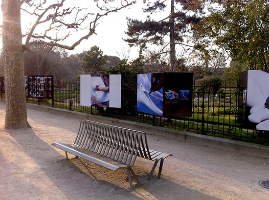 Le métier d'illustrateur scientifique.  Jardin de Plantes.
