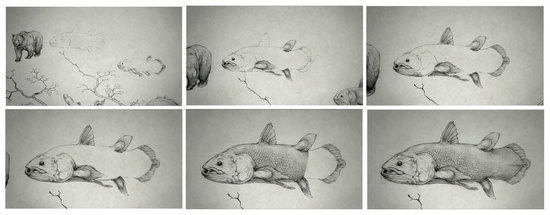 animation de l'effet "crayonné" des animaux de la branche des vertébrés pour le film : LE COELACANTHE, PLONGEE VERS NOS ORIGINES