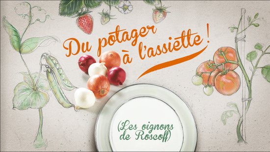 Illustrations animables pour le générique de l'émission "Du potager à l'assiette"