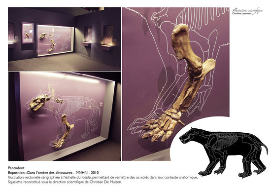 Pantodont
