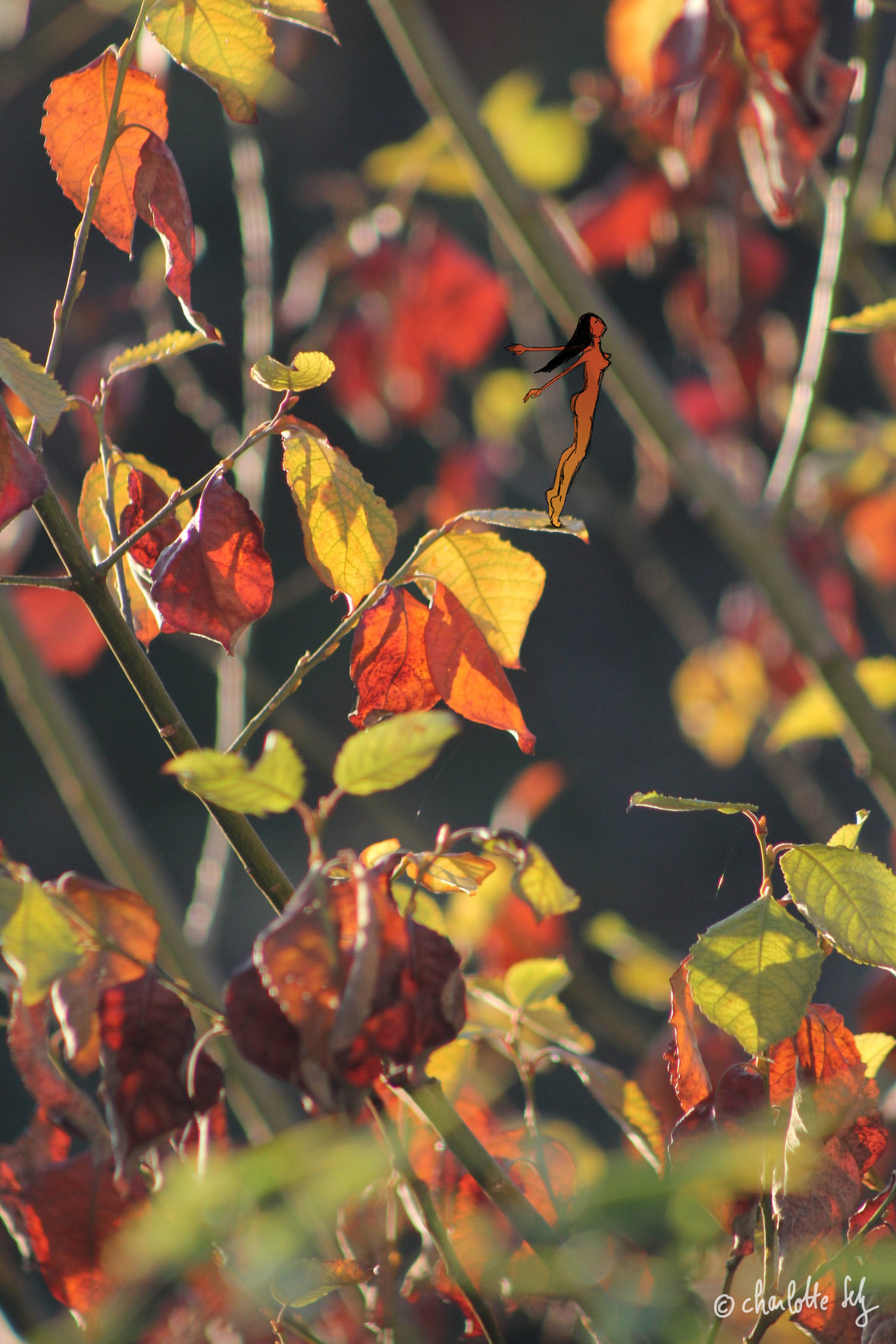 Matin d'automne