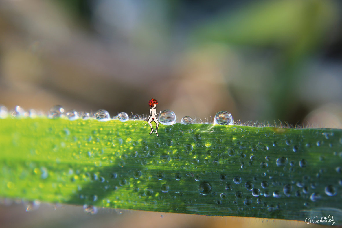 Matin d'hiver