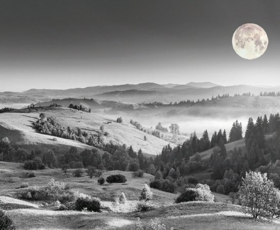 Save Assistance Voeux 2024